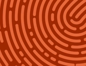 device fingerprinting